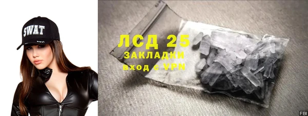 молекула духа Новозыбков