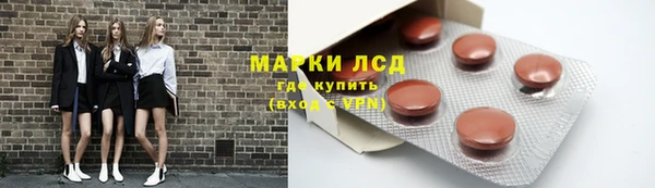 молекула духа Новозыбков