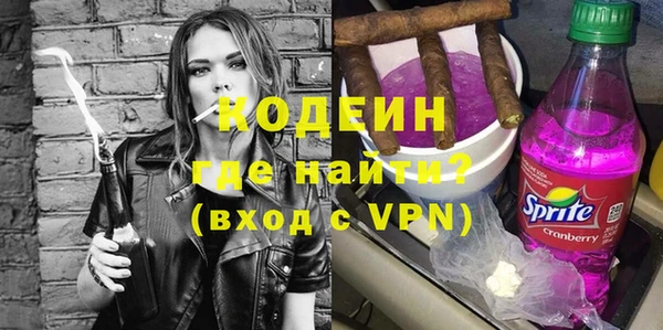 молекула духа Новозыбков