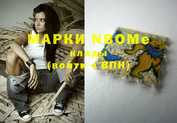 молекула духа Новозыбков