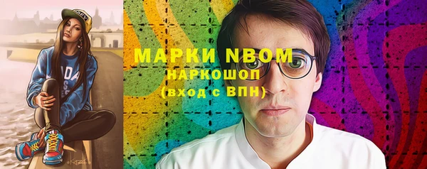молекула духа Новозыбков