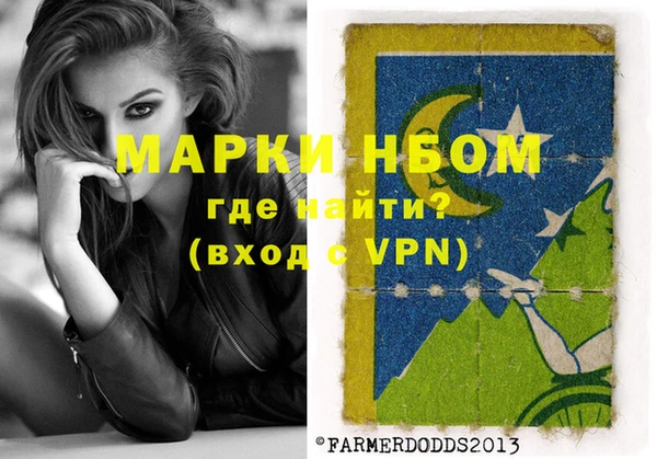 молекула духа Новозыбков