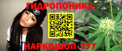 эйфоретик Туймазы