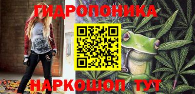 эйфоретик Туймазы