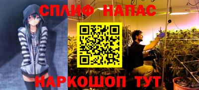 эйфоретик Туймазы