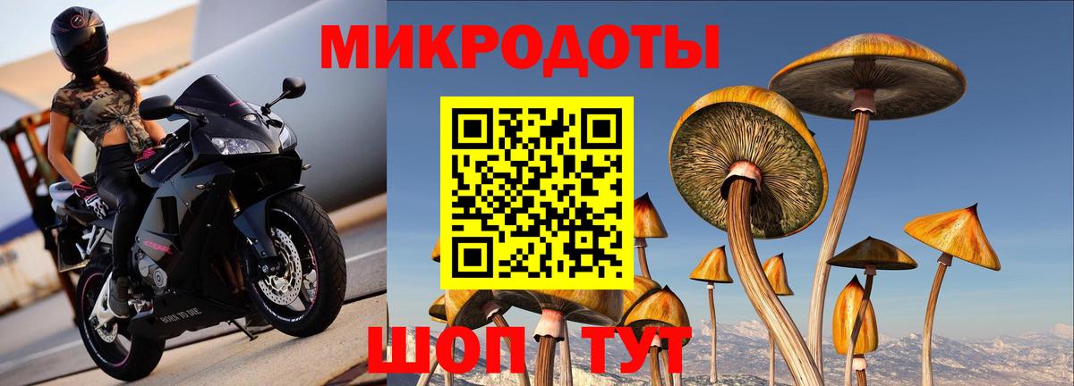 Псилоцибиновые грибы мухоморы  Вход с VPN  как найти наркотики  Североморск 